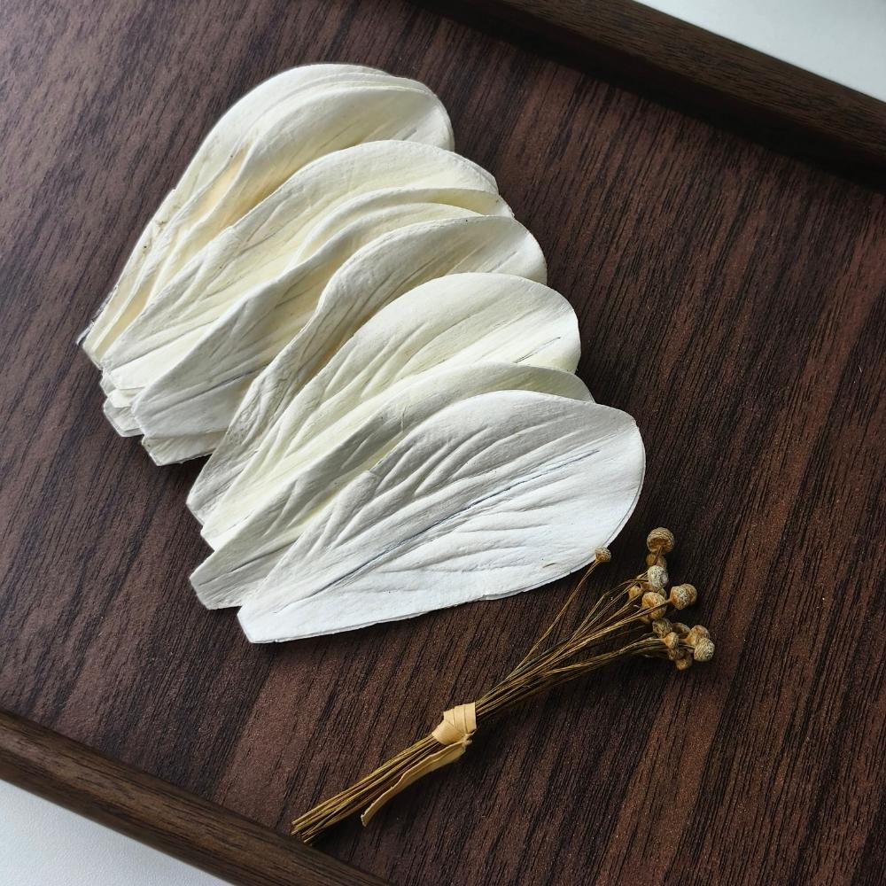 旋切成片，双层压制，衬一层无纺布