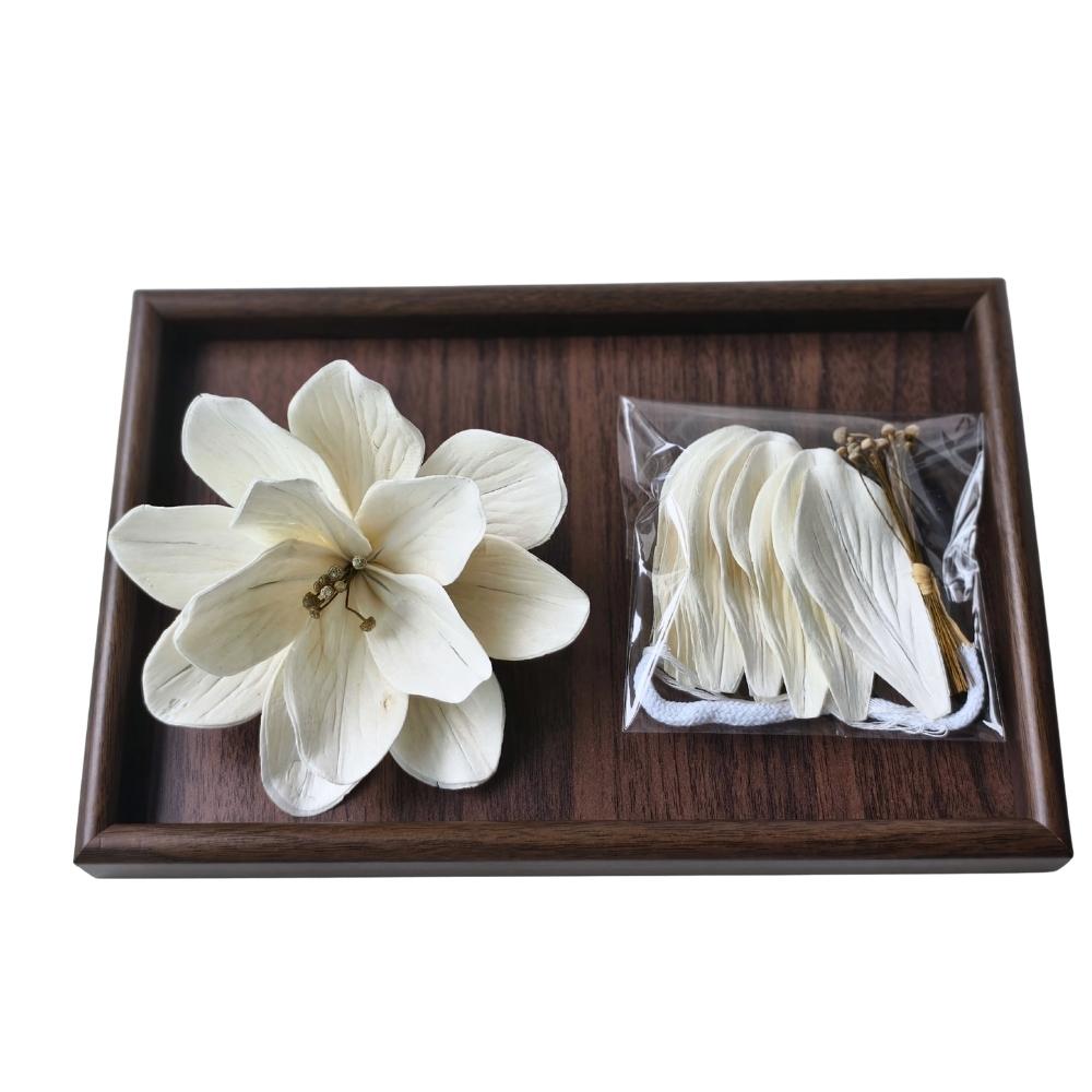 通草不是草，是从一棵树的心里取出来的