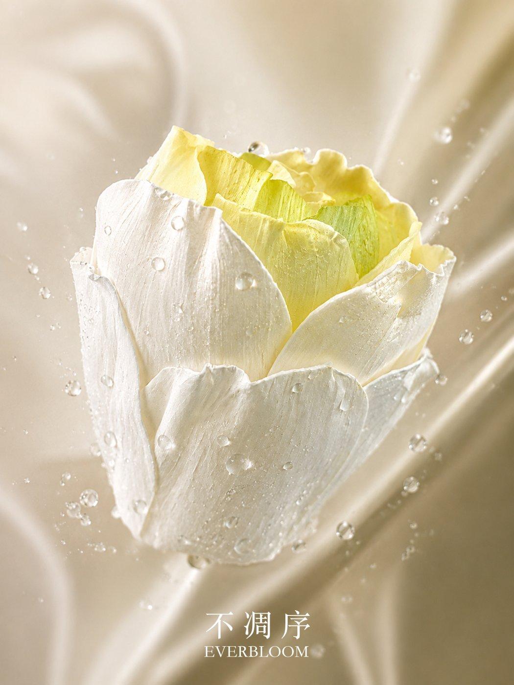 通草·白菜花 · 招财香氛摆件