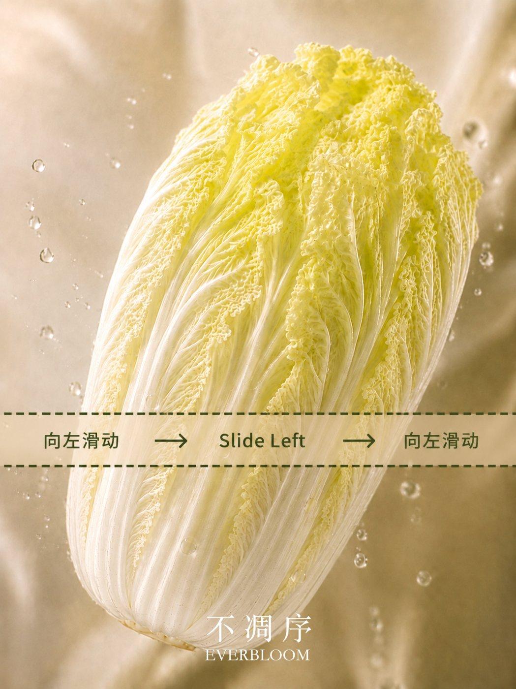 通草·白菜花 产品展示